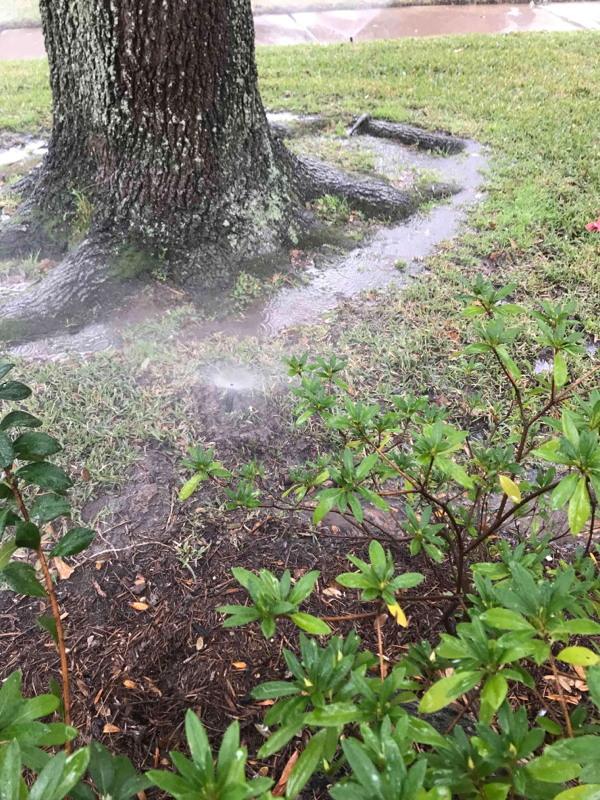 outdoor sprinkler system repair